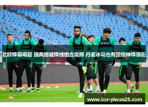 北欧锋霸崛起 瑞典挪威锋线组合震撼 丹麦冰岛也有顶级神锋领衔