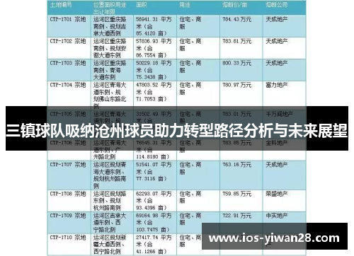 三镇球队吸纳沧州球员助力转型路径分析与未来展望