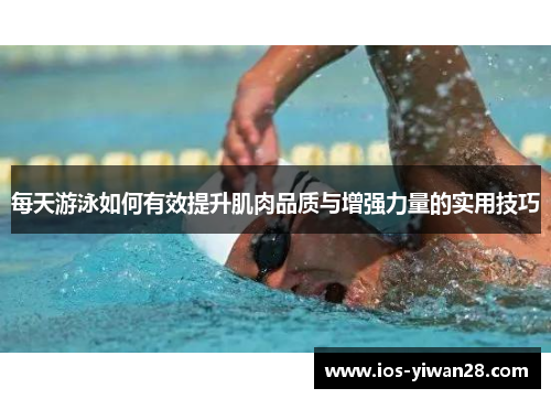 每天游泳如何有效提升肌肉品质与增强力量的实用技巧