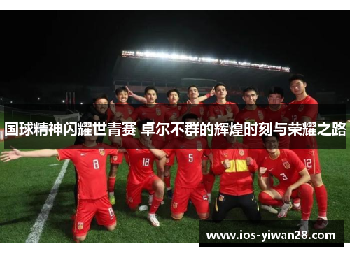 国球精神闪耀世青赛 卓尔不群的辉煌时刻与荣耀之路