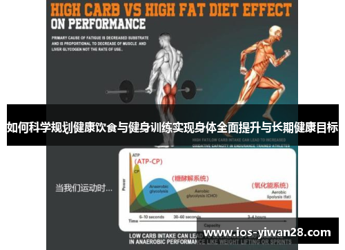 如何科学规划健康饮食与健身训练实现身体全面提升与长期健康目标