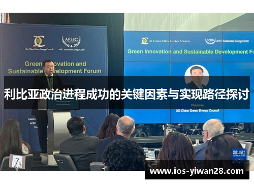 利比亚政治进程成功的关键因素与实现路径探讨