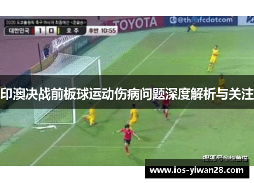 印澳决战前板球运动伤病问题深度解析与关注