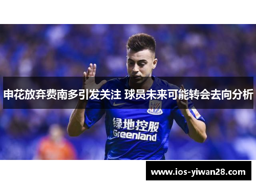 申花放弃费南多引发关注 球员未来可能转会去向分析