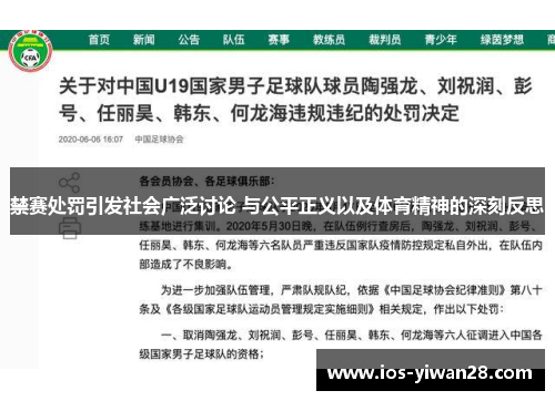 禁赛处罚引发社会广泛讨论 与公平正义以及体育精神的深刻反思