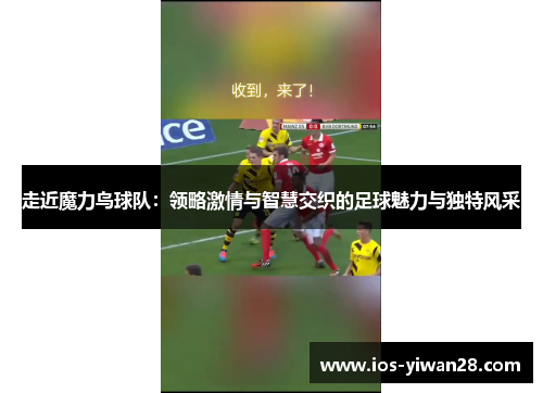 走近魔力鸟球队:领略激情与智慧交织的足球魅力与独特风采 走近魔力鸟球队:领略激情与智慧交织的足球魅力与独特风采