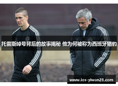 托雷斯绰号背后的故事揭秘 他为何被称为西班牙猎豹 托雷斯绰号背后的故事揭秘 他为何被称为西班牙猎豹