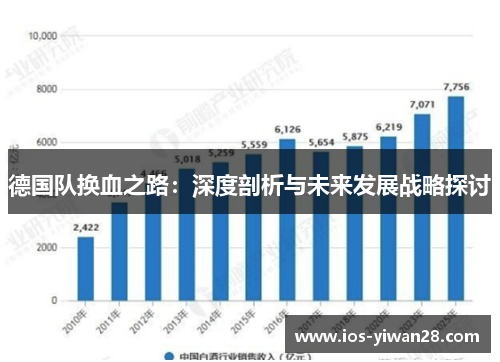 德国队换血之路：深度剖析与未来发展战略探讨