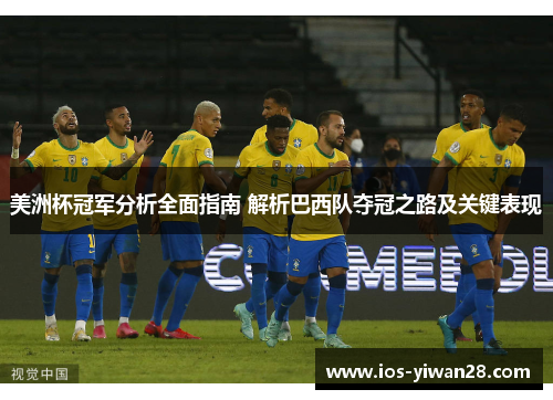 美洲杯冠军分析全面指南 解析巴西队夺冠之路及关键表现