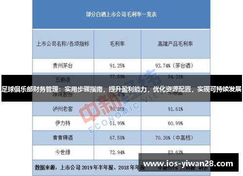 足球俱乐部财务管理：实用步骤指南，提升盈利能力，优化资源配置，实现可持续发展